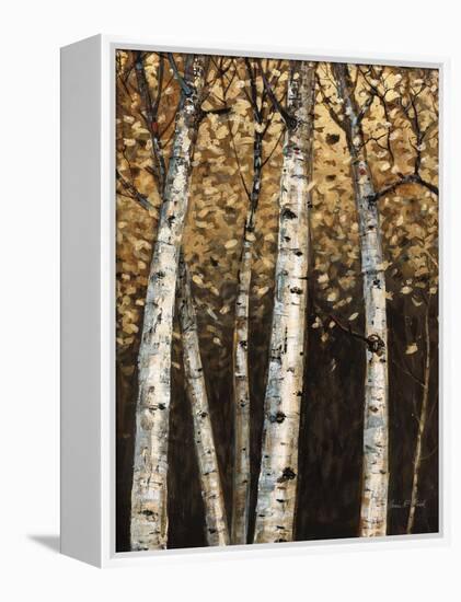 Shimmering Birches 2-Arnie Fisk-Framed Stretched Canvas