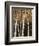 Shimmering Birches 2-Arnie Fisk-Framed Art Print