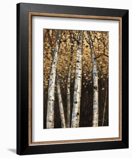 Shimmering Birches 2-Arnie Fisk-Framed Art Print