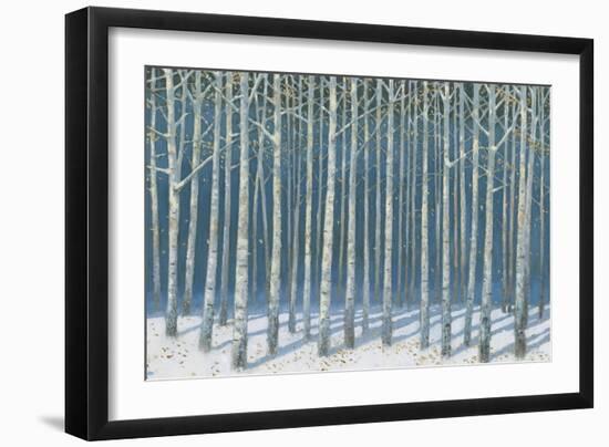 Shimmering Birches-James Wiens-Framed Art Print