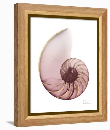 Shimmering Blush Snail 1-Albert Koetsier-Framed Stretched Canvas