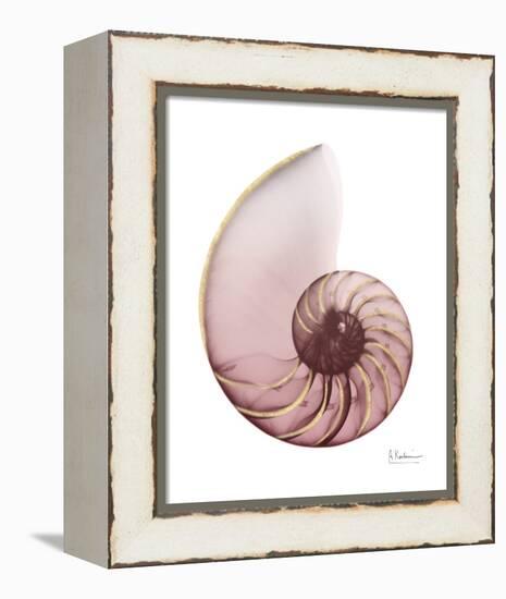 Shimmering Blush Snail 1-Albert Koetsier-Framed Stretched Canvas