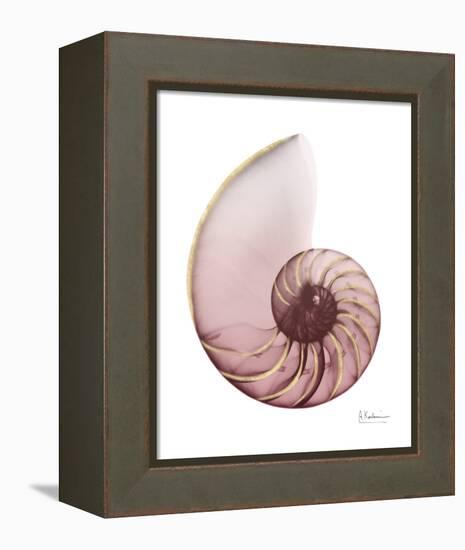 Shimmering Blush Snail 1-Albert Koetsier-Framed Stretched Canvas