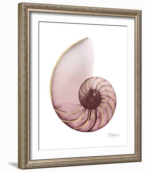 Shimmering Blush Snail 1-Albert Koetsier-Framed Photo