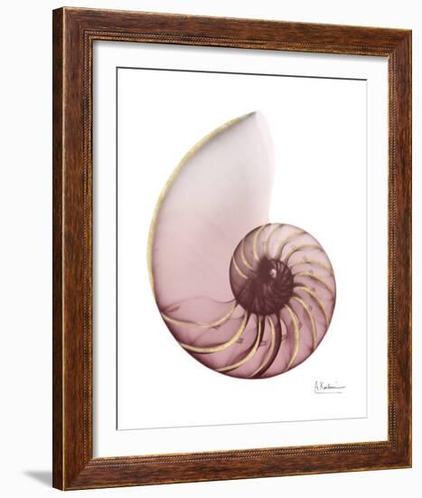 Shimmering Blush Snail 1-Albert Koetsier-Framed Photo