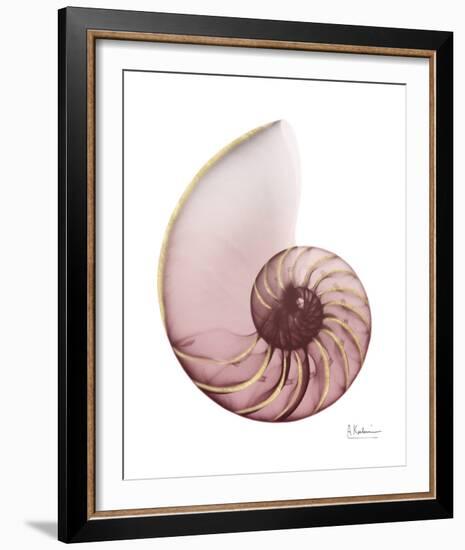 Shimmering Blush Snail 1-Albert Koetsier-Framed Photo
