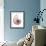 Shimmering Blush Snail 1-Albert Koetsier-Framed Photo displayed on a wall
