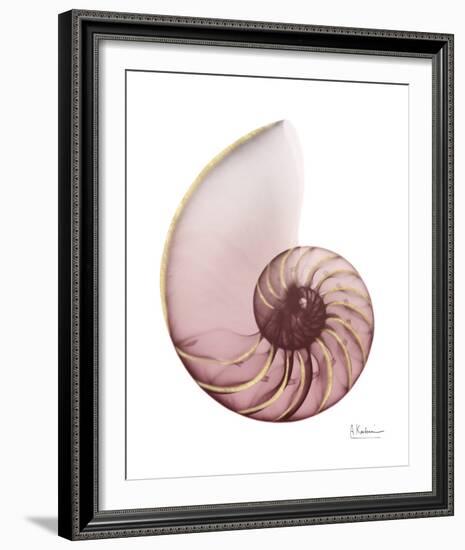 Shimmering Blush Snail 1-Albert Koetsier-Framed Photo