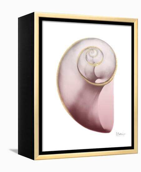 Shimmering Blush Snail 2-Albert Koetsier-Framed Stretched Canvas