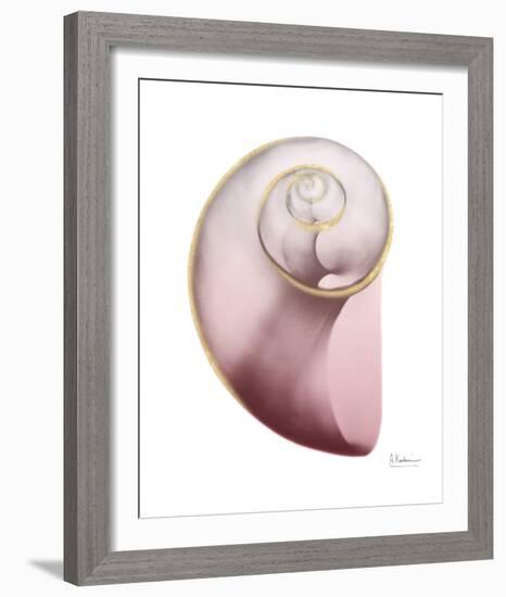 Shimmering Blush Snail 2-Albert Koetsier-Framed Photo