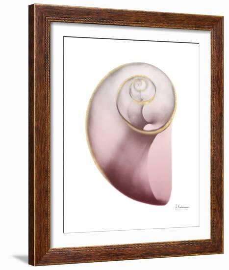 Shimmering Blush Snail 2-Albert Koetsier-Framed Photo
