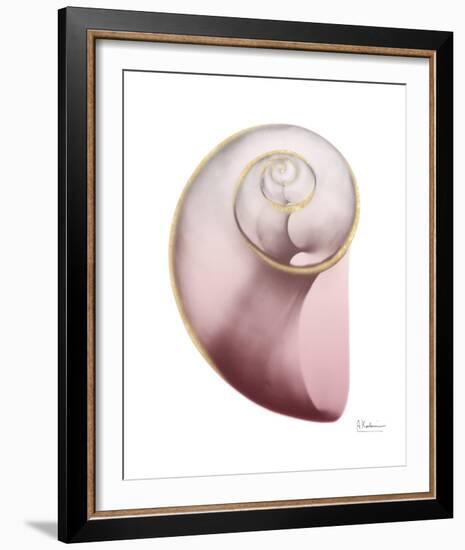 Shimmering Blush Snail 2-Albert Koetsier-Framed Photo