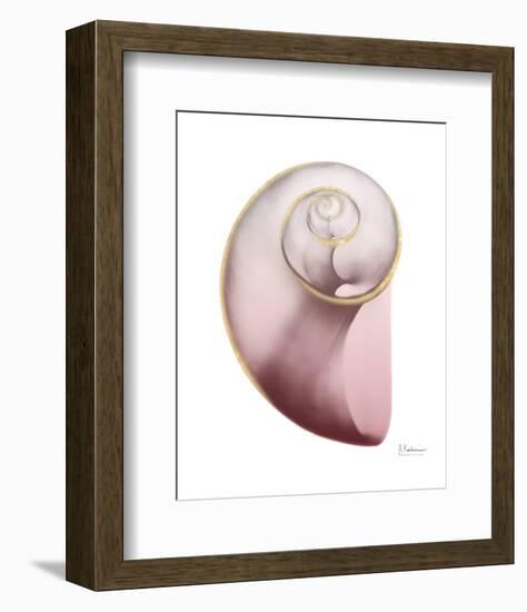 Shimmering Blush Snail 2-Albert Koetsier-Framed Photo