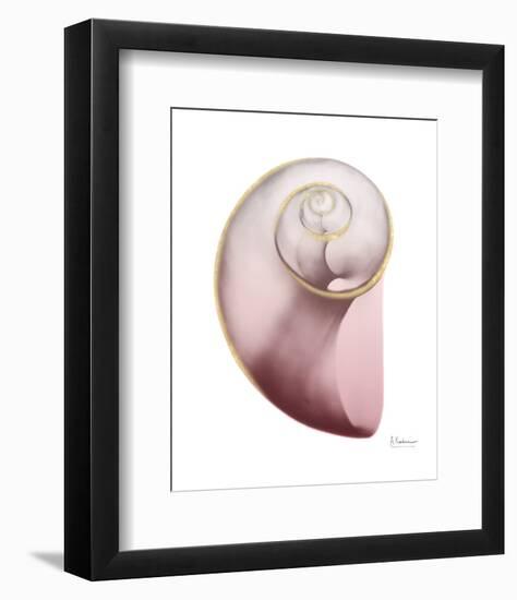 Shimmering Blush Snail 2-Albert Koetsier-Framed Photo