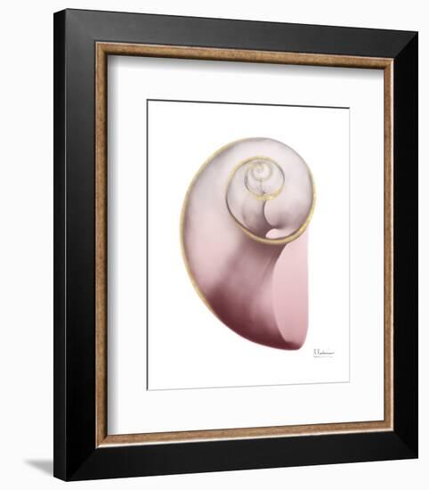 Shimmering Blush Snail 2-Albert Koetsier-Framed Photo