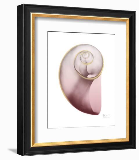 Shimmering Blush Snail 2-Albert Koetsier-Framed Photo