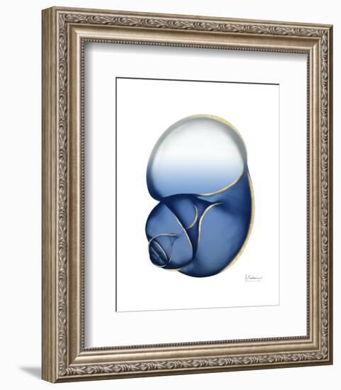 Shimmering Indigo Snail 1-Albert Koetsier-Framed Photo