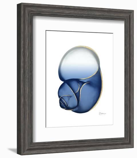 Shimmering Indigo Snail 1-Albert Koetsier-Framed Photo