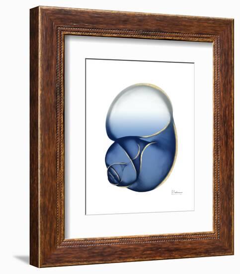 Shimmering Indigo Snail 1-Albert Koetsier-Framed Photo