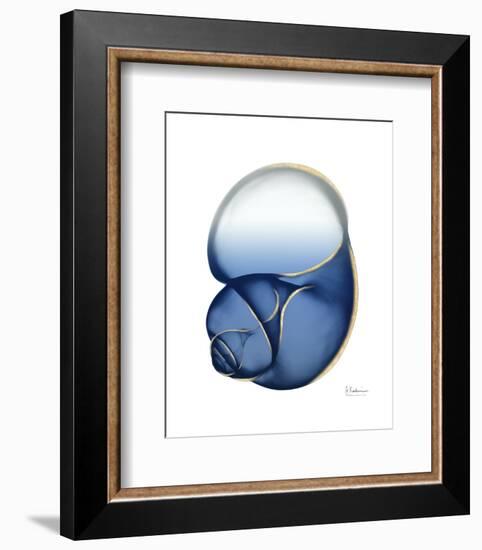 Shimmering Indigo Snail 1-Albert Koetsier-Framed Photo