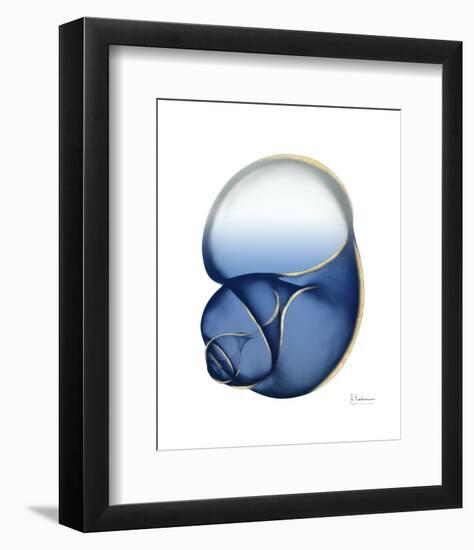 Shimmering Indigo Snail 1-Albert Koetsier-Framed Photo