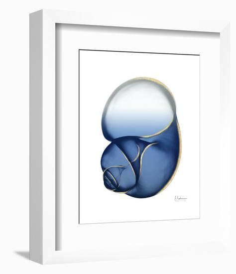 Shimmering Indigo Snail 1-Albert Koetsier-Framed Photo