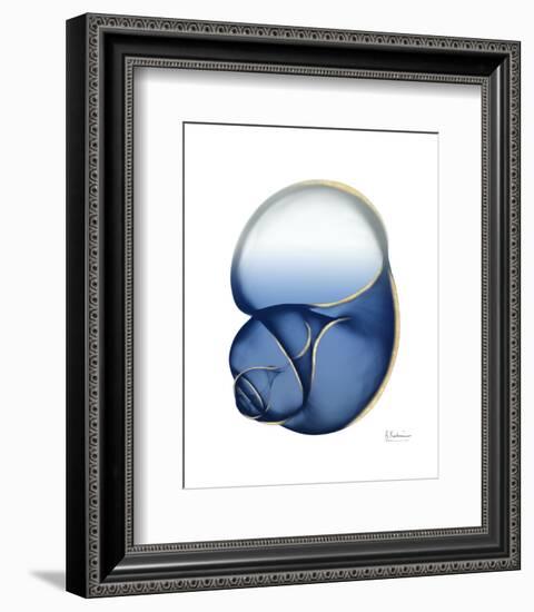 Shimmering Indigo Snail 1-Albert Koetsier-Framed Photo