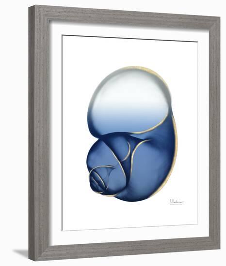 Shimmering Indigo Snail 1-Albert Koetsier-Framed Photo