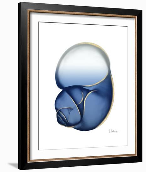 Shimmering Indigo Snail 1-Albert Koetsier-Framed Photo