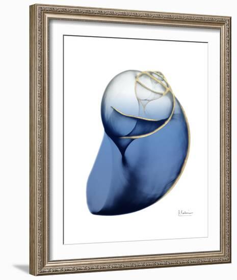 Shimmering Indigo Snail 2-Albert Koetsier-Framed Photo