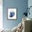 Shimmering Indigo Snail 2-Albert Koetsier-Framed Photo displayed on a wall