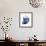 Shimmering Indigo Snail 2-Albert Koetsier-Framed Photo displayed on a wall