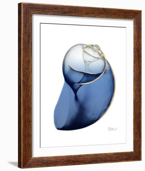 Shimmering Indigo Snail 2-Albert Koetsier-Framed Photo