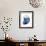 Shimmering Indigo Snail 2-Albert Koetsier-Framed Photo displayed on a wall