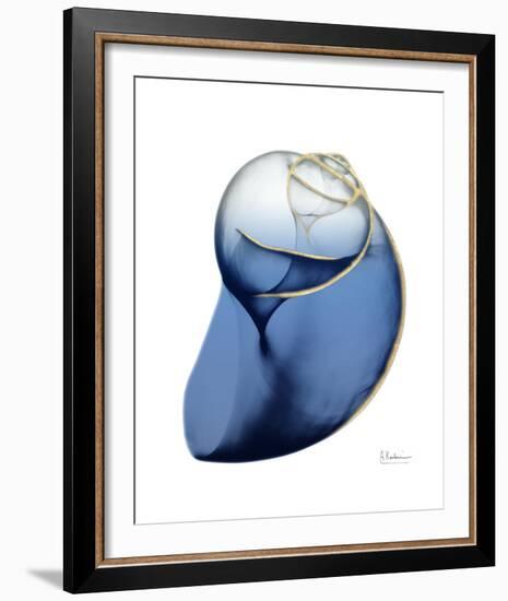 Shimmering Indigo Snail 2-Albert Koetsier-Framed Photo