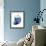 Shimmering Indigo Snail 2-Albert Koetsier-Framed Photo displayed on a wall