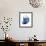 Shimmering Indigo Snail 2-Albert Koetsier-Framed Photo displayed on a wall