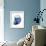 Shimmering Indigo Snail 2-Albert Koetsier-Framed Photo displayed on a wall