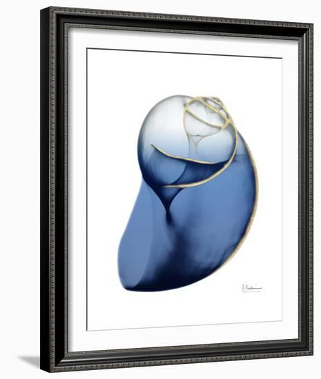 Shimmering Indigo Snail 2-Albert Koetsier-Framed Photo