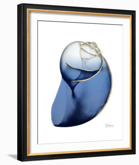 Shimmering Indigo Snail 2-Albert Koetsier-Framed Photo
