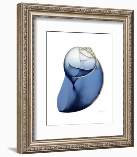 Shimmering Indigo Snail 2-Albert Koetsier-Framed Photo