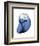 Shimmering Indigo Snail 2-Albert Koetsier-Framed Photo