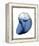 Shimmering Indigo Snail 2-Albert Koetsier-Framed Stretched Canvas