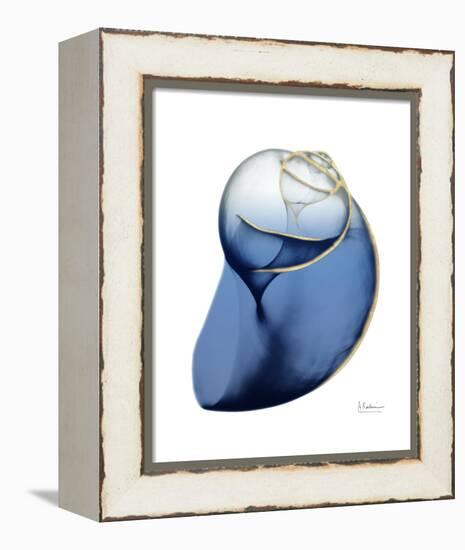 Shimmering Indigo Snail 2-Albert Koetsier-Framed Stretched Canvas