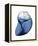 Shimmering Indigo Snail 2-Albert Koetsier-Framed Stretched Canvas