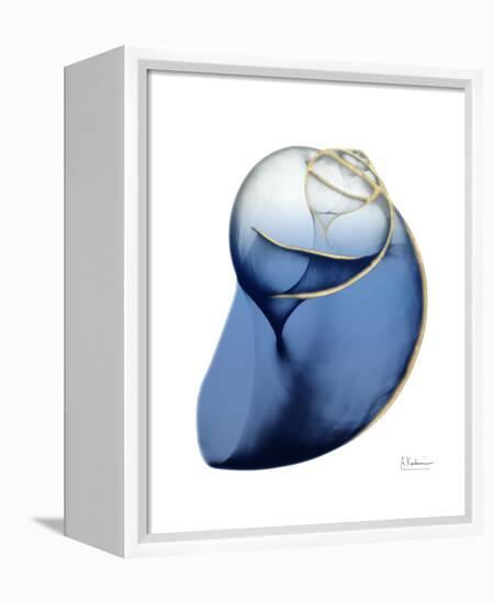 Shimmering Indigo Snail 2-Albert Koetsier-Framed Stretched Canvas