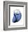 Shimmering Indigo Snail 2-Albert Koetsier-Framed Photographic Print