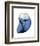 Shimmering Indigo Snail 2-Albert Koetsier-Framed Photographic Print