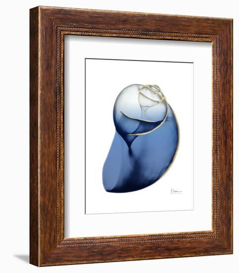Shimmering Indigo Snail 2-Albert Koetsier-Framed Photographic Print
