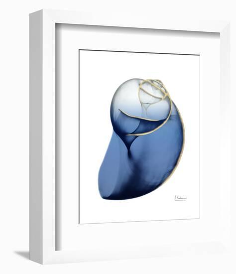 Shimmering Indigo Snail 2-Albert Koetsier-Framed Photographic Print